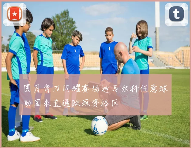 圆月弯刀闪耀赛场迪马尔科任意球助国米直通欧冠资格区