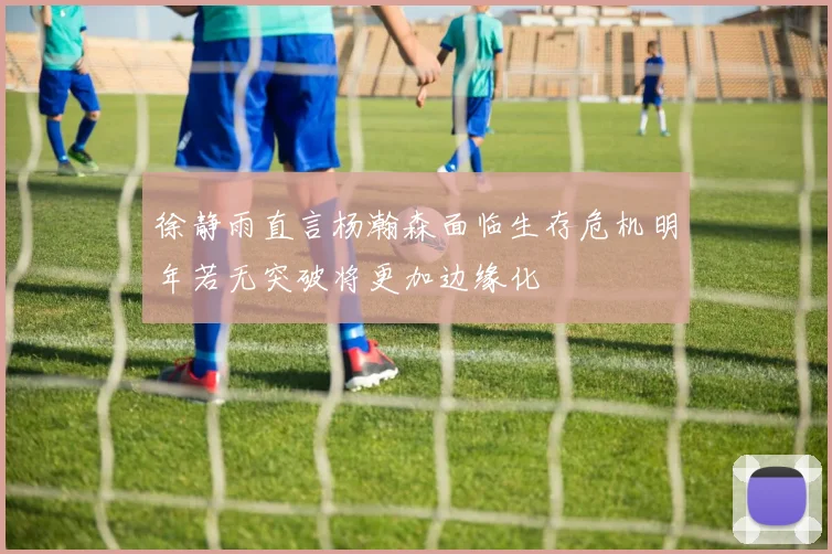徐静雨直言杨瀚森面临生存危机明年若无突破将更加边缘化