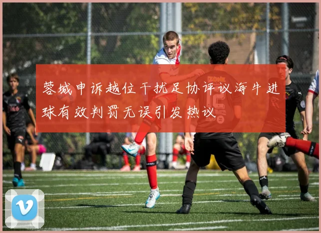 蓉城申诉越位干扰足协评议海牛进球有效判罚无误引发热议