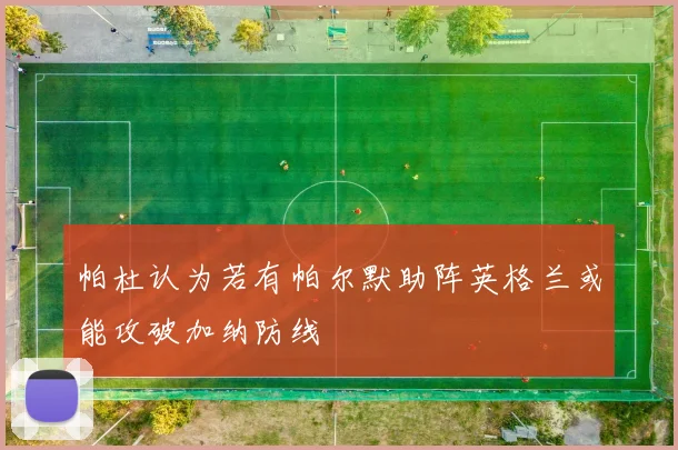 帕杜认为若有帕尔默助阵英格兰或能攻破加纳防线