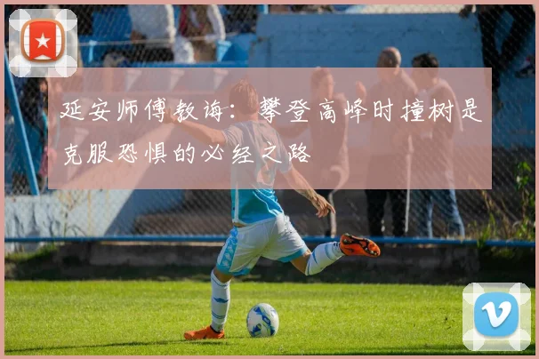 延安师傅教诲：攀登高峰时撞树是克服恐惧的必经之路